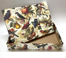 Lade das Bild in den Galerie-Viewer, Hemdbox "Birds & Fruits"