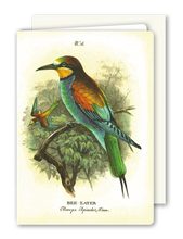 Lade das Bild in den Galerie-Viewer, Klappkarte Bee Eater, inkl. Couvert