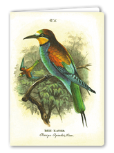 Lade das Bild in den Galerie-Viewer, Klappkarte Bee Eater, inkl. Couvert