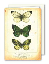 Lade das Bild in den Galerie-Viewer, Klappkarte Butterfly Trio, inkl. Couvert