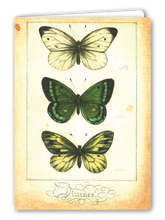 Lade das Bild in den Galerie-Viewer, Klappkarte Butterfly Trio, inkl. Couvert