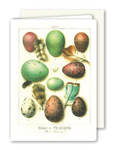 Lade das Bild in den Galerie-Viewer, Klappkarte Egg Hunt, inkl. Couvert