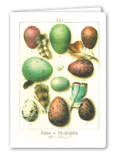 Lade das Bild in den Galerie-Viewer, Klappkarte Egg Hunt, inkl. Couvert