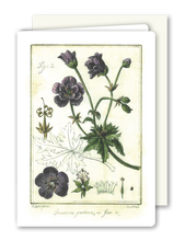Lade das Bild in den Galerie-Viewer, Klappkarte Geranium, inkl. Couvert