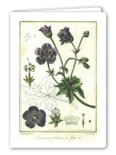 Lade das Bild in den Galerie-Viewer, Klappkarte Geranium, inkl. Couvert