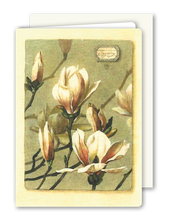 Lade das Bild in den Galerie-Viewer, Klappkarte Magnolia Tree, inkl. Couvert