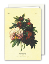 Lade das Bild in den Galerie-Viewer, Klappkarte Peony Bunch, inkl. Couvert