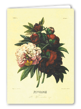 Lade das Bild in den Galerie-Viewer, Klappkarte Peony Bunch, inkl. Couvert