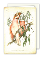 Lade das Bild in den Galerie-Viewer, Klappkarte Pink Cockatoo, inkl. Couvert