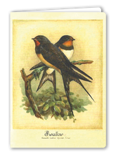Lade das Bild in den Galerie-Viewer, Klappkarte Swallows, inkl. Couvert