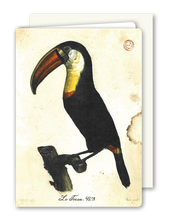 Lade das Bild in den Galerie-Viewer, Klappkarte Toucan, inkl. Couvert