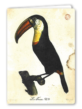 Lade das Bild in den Galerie-Viewer, Klappkarte Toucan, inkl. Couvert