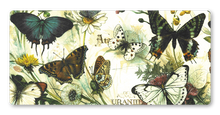 Lade das Bild in den Galerie-Viewer, Postkarte Butterflies, inkl. Couvert