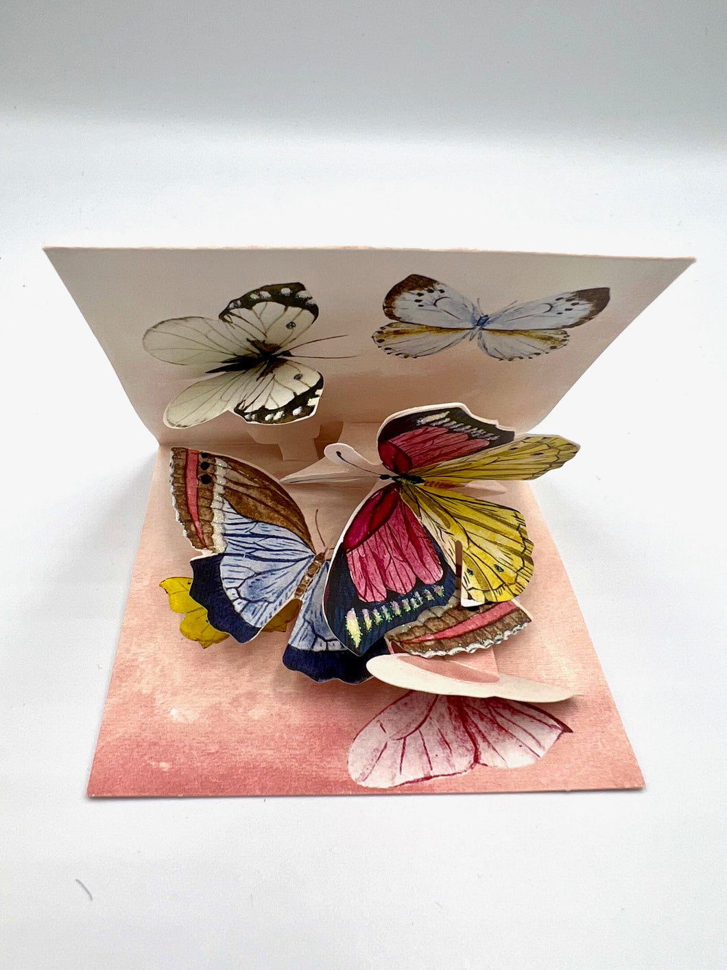 Mini Pop-up Karte Schmetterling, inkl. Couvert