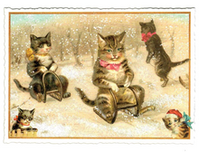 Lade das Bild in den Galerie-Viewer, NEU --> Postkarte Katzenschlitteln
