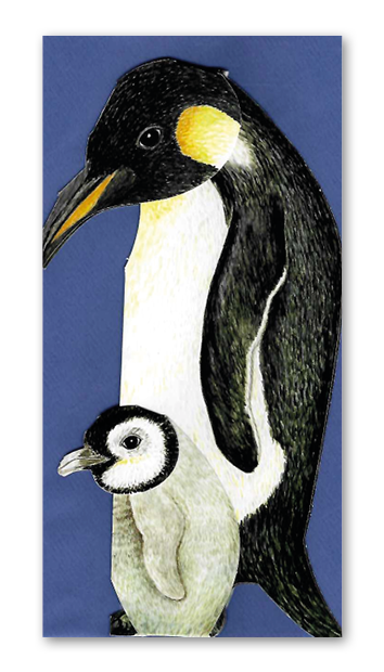 3D-Karte Pinguinfamilie, inkl. Couvert