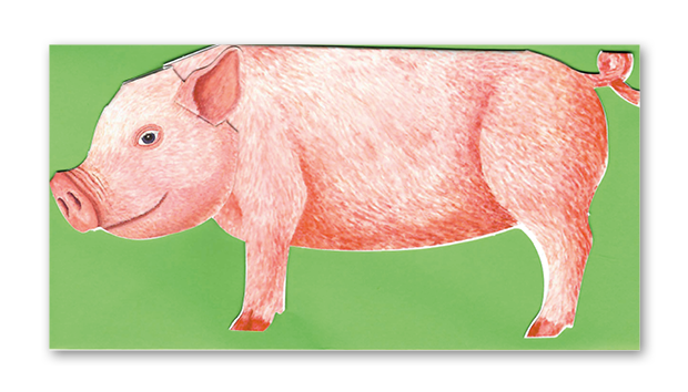 3D-Karte Schwein, inkl. Couvert