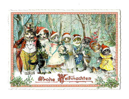 Postkarte weihnachtlicher Katzengruss