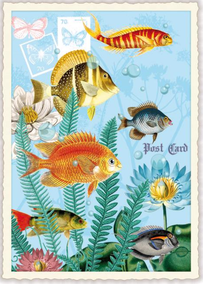 Postkarte Fischschwarm