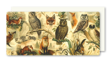 Lade das Bild in den Galerie-Viewer, Postkarte Fox &amp; Owl, inkl. Couvert
