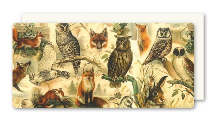 Postkarte Fox & Owl, inkl. Couvert