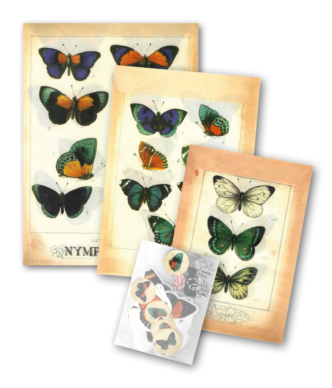 Geschenkverpackung Butterflies