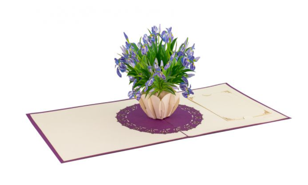 Pop-up Karte Iris violett, inkl. Couvert