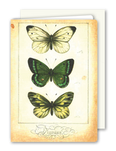 Lade das Bild in den Galerie-Viewer, Klappkarte Butterfly Trio, inkl. Couvert
