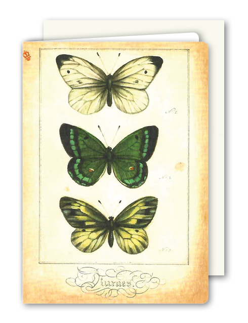 Klappkarte Butterfly Trio, inkl. Couvert