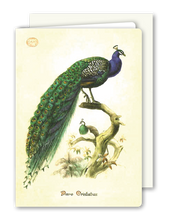 Lade das Bild in den Galerie-Viewer, Klappkarte Peacock, inkl. Couvert

