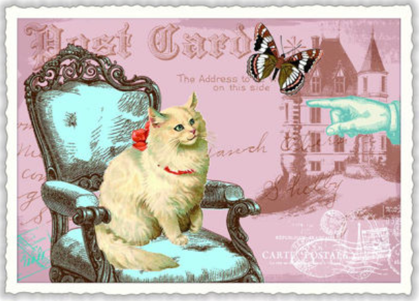 Postkarte Katze auf Sessel