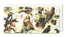 Lade das Bild in den Galerie-Viewer, Postkarte Birds &amp; Fruits, inkl. Couvert

