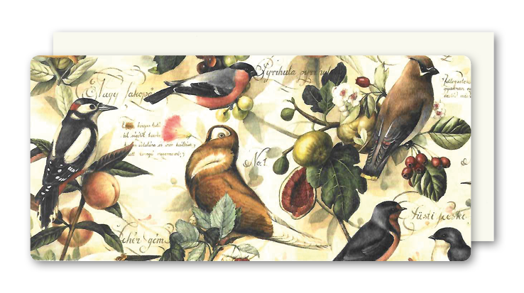 Postkarte Birds & Fruits, inkl. Couvert