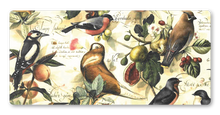 Lade das Bild in den Galerie-Viewer, Postkarte Birds &amp; Fruits, inkl. Couvert
