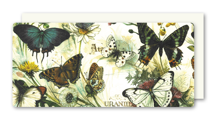 Postkarte Butterflies, inkl. Couvert