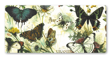 Lade das Bild in den Galerie-Viewer, Postkarte Butterflies, inkl. Couvert
