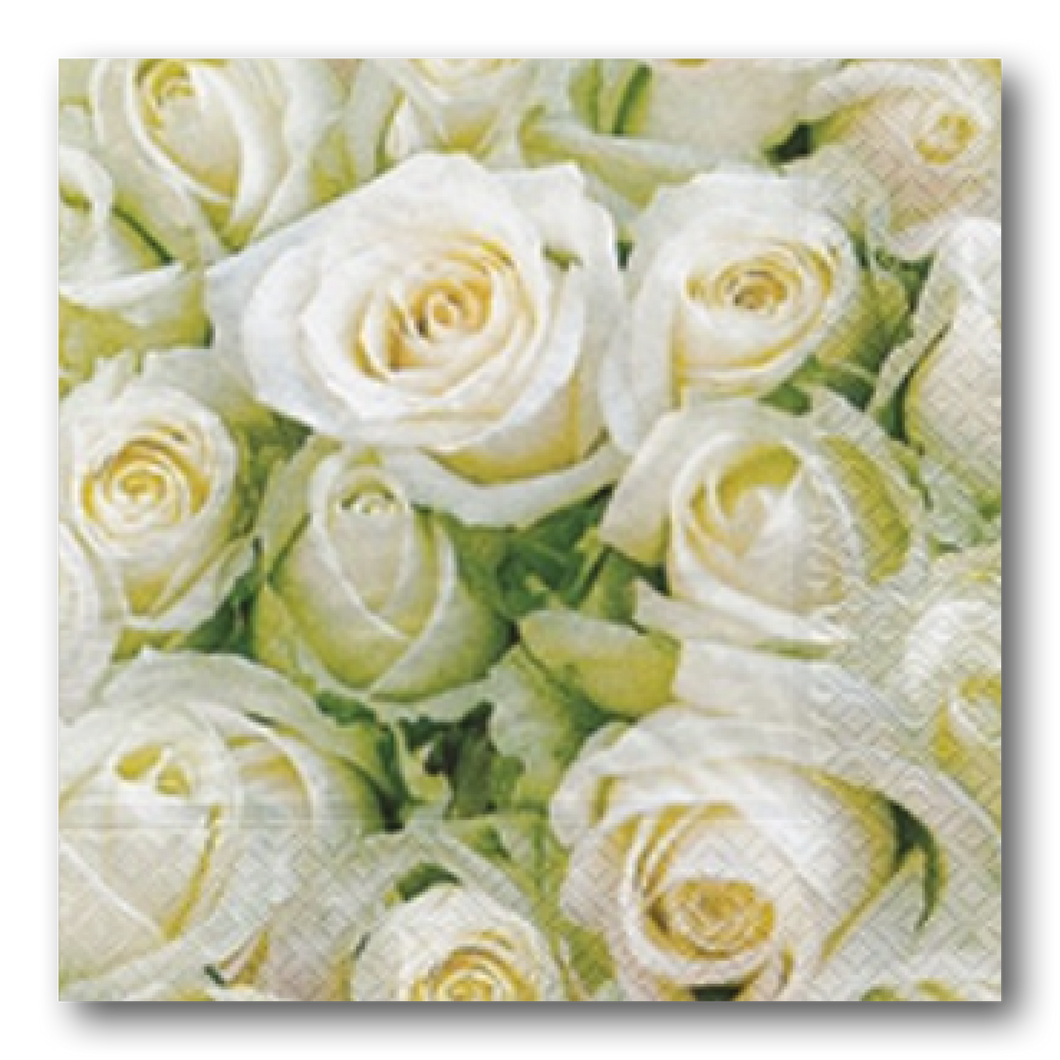 Servietten 33 x 33 cm - White Roses