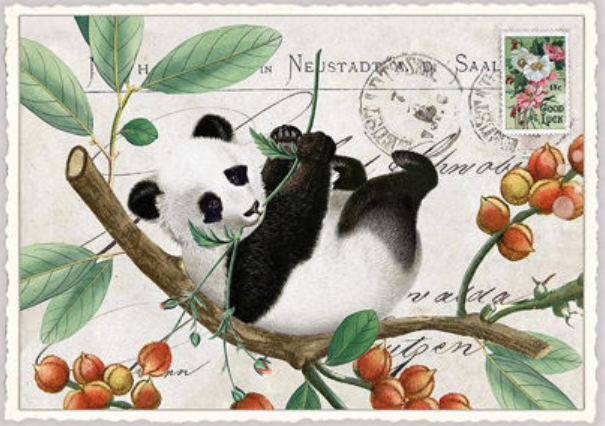 Postkarte Panda