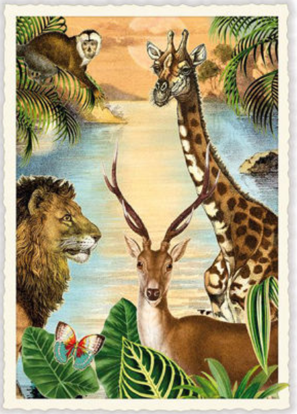 Postkarte Safari